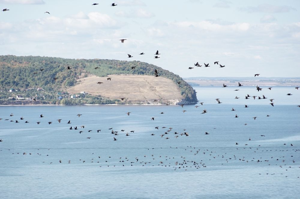 Здравствуй, осень