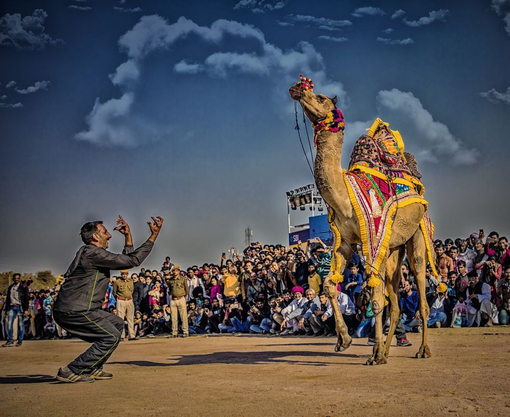 camel dance