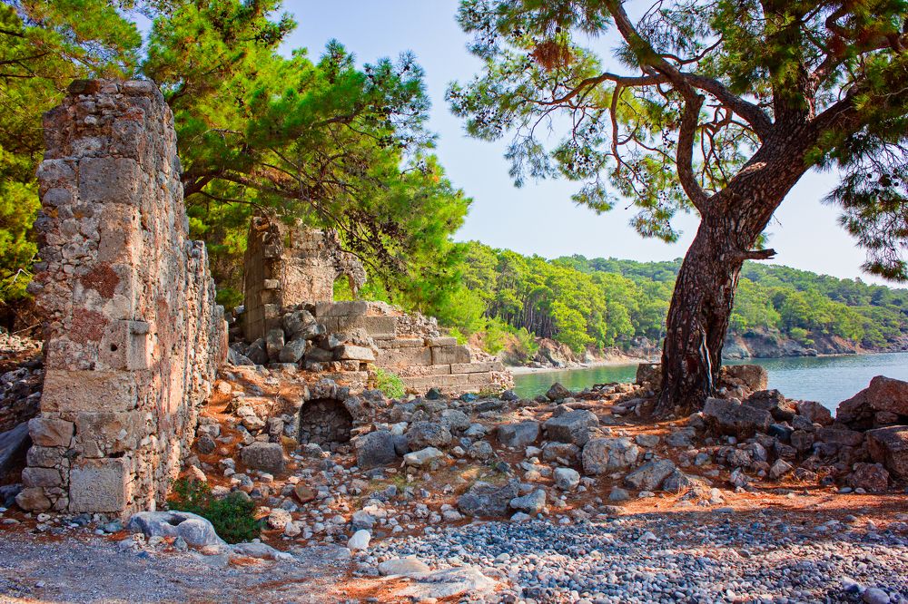 Photograph by Анна Кесарева