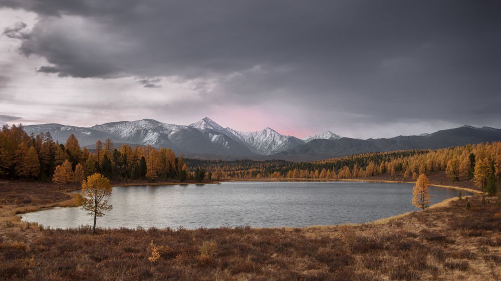 Алтайская классика