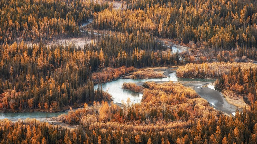 Алтайская река