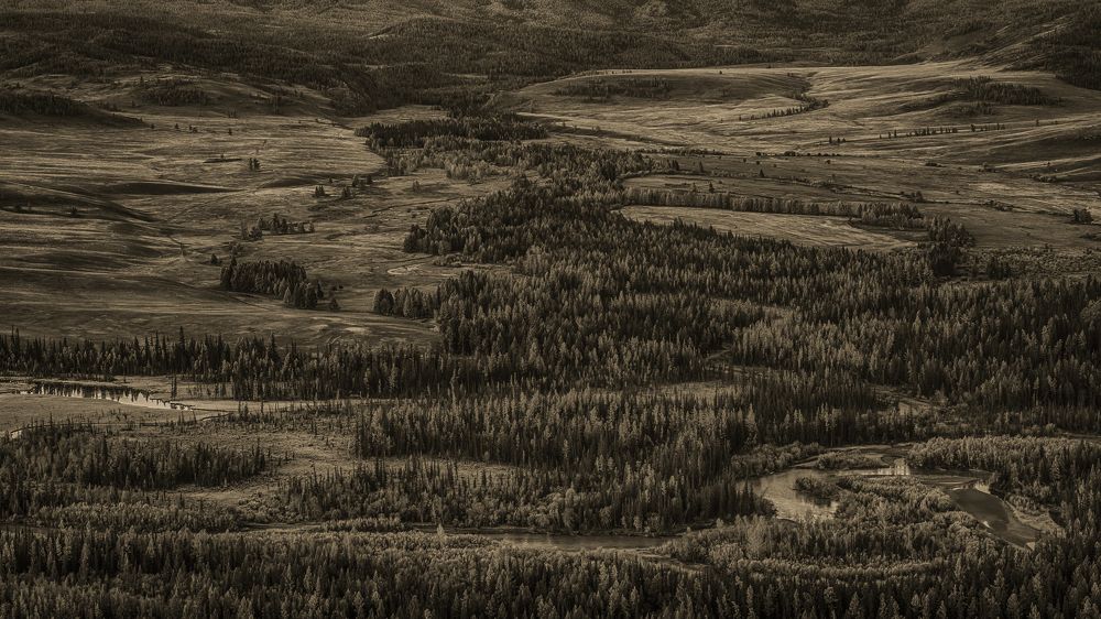 Графика Курайской степи