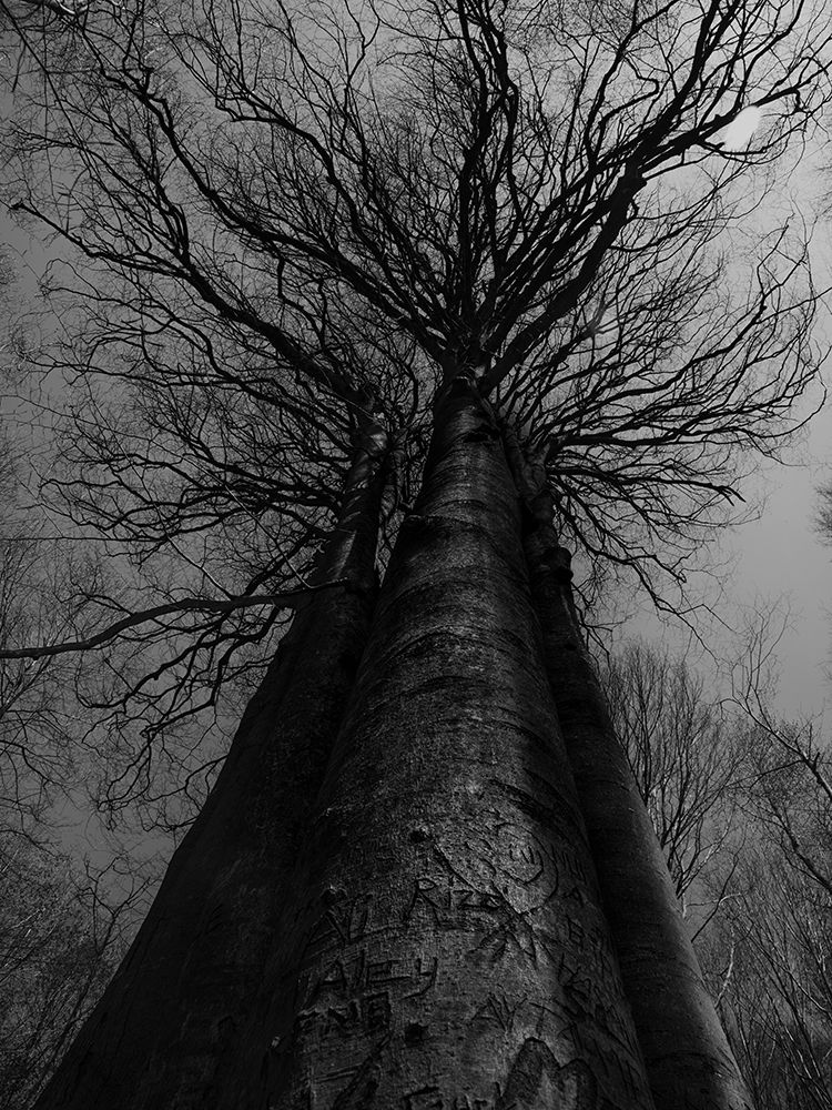 The Battle for Balance