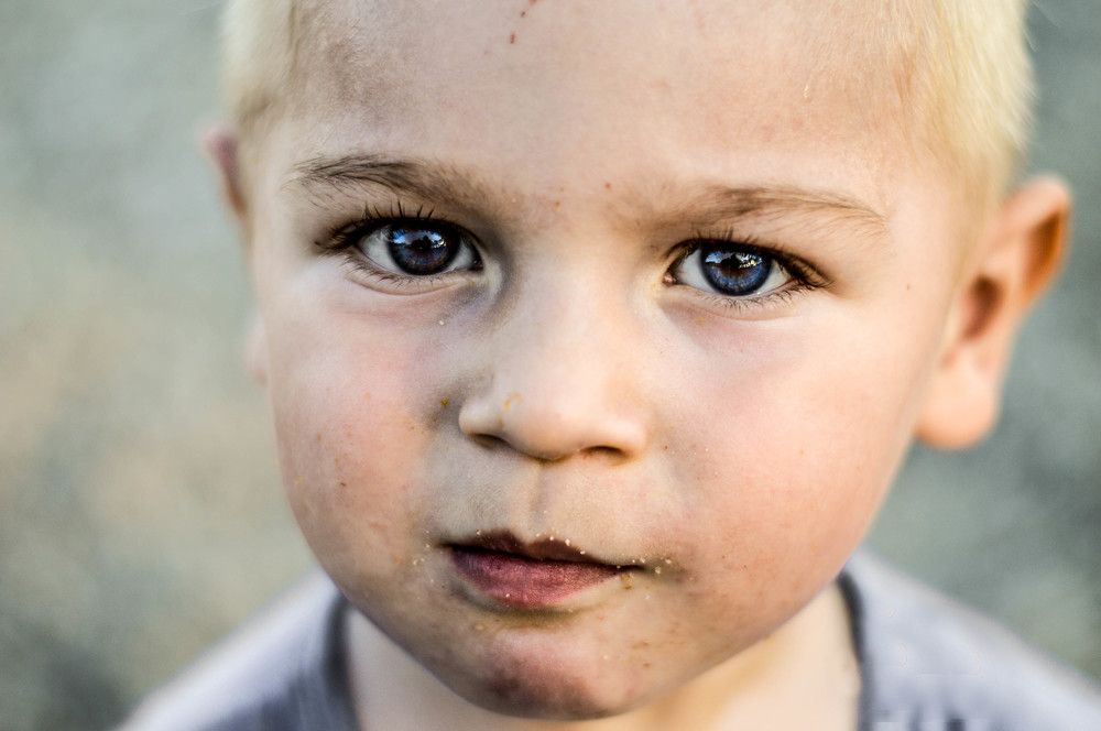 Фотография автора Анна Ватансевер