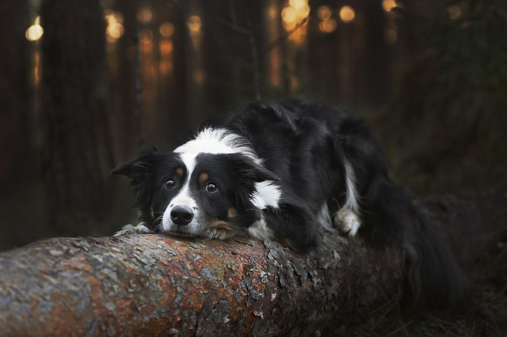 Photograph by Karina Saarestik