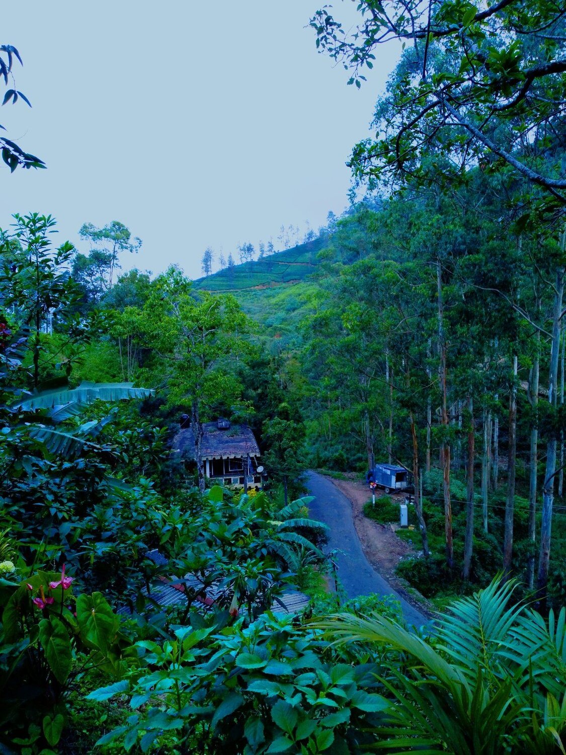 Beautiful sri lanka