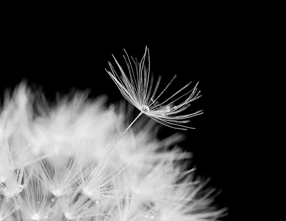 Неизвестность