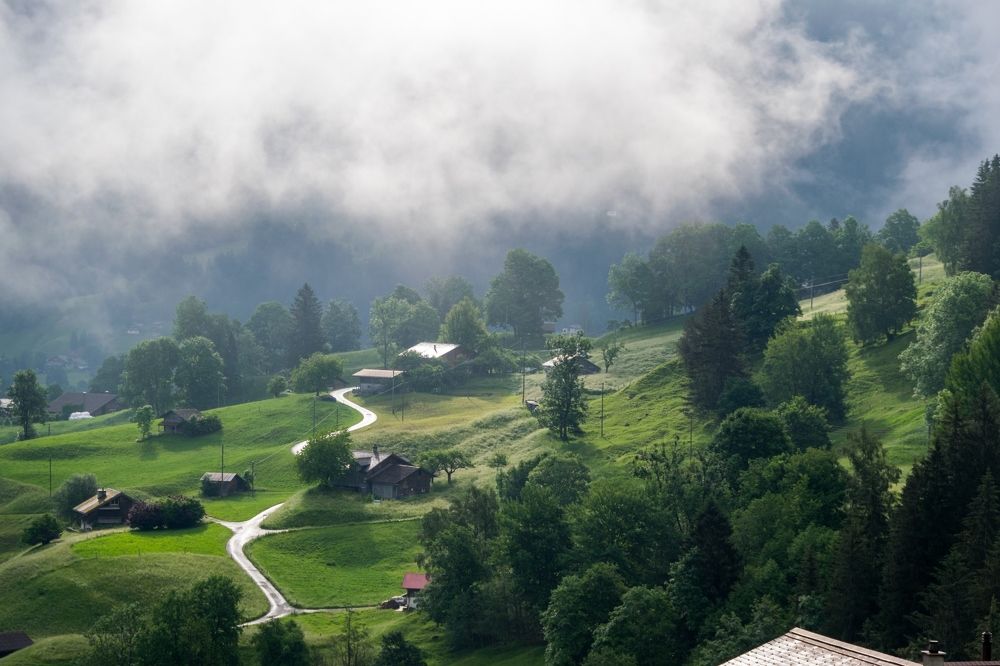 Фотография автора Андрей Симонов