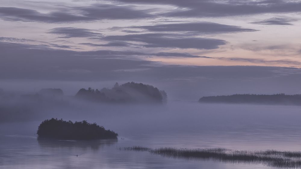 Туман на р.Онега