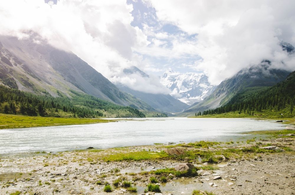 Снежная красавица