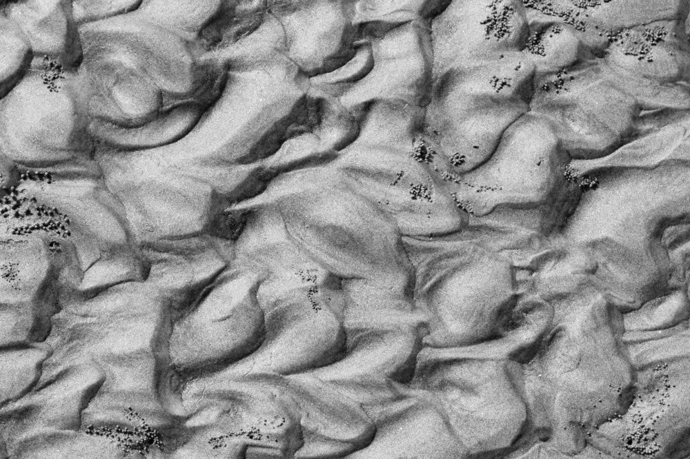 Art of nature on the beach.