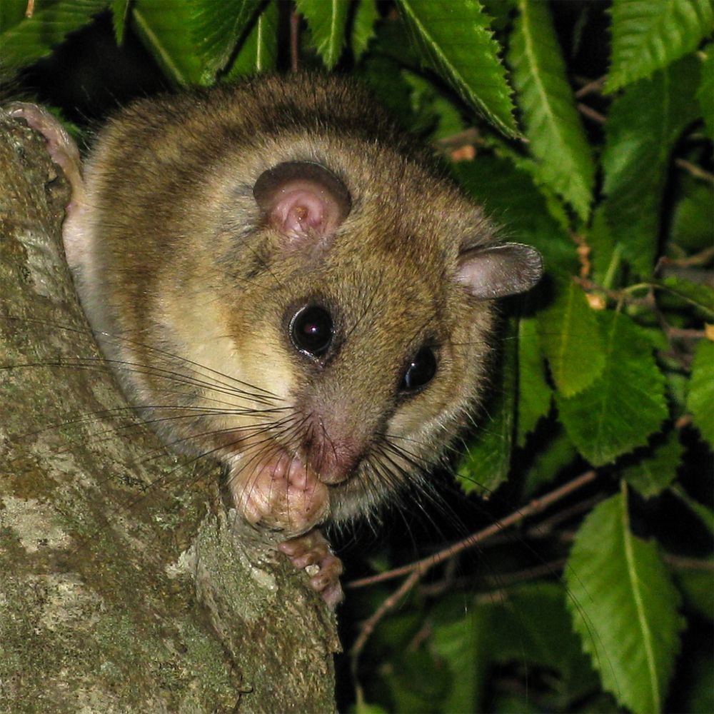 Photograph by Сударыня-МСИ