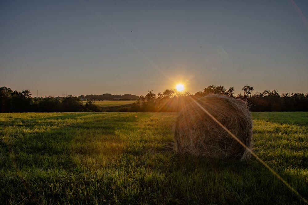 Сено, поле, закат ...