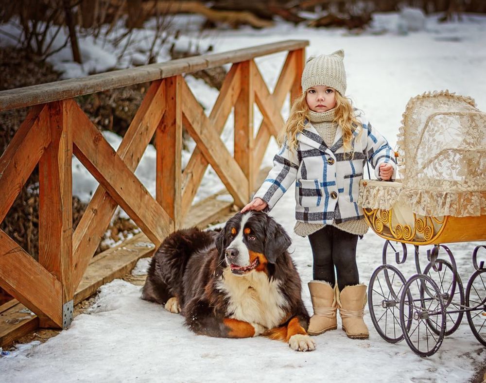 Photograph by Столярова Резиля