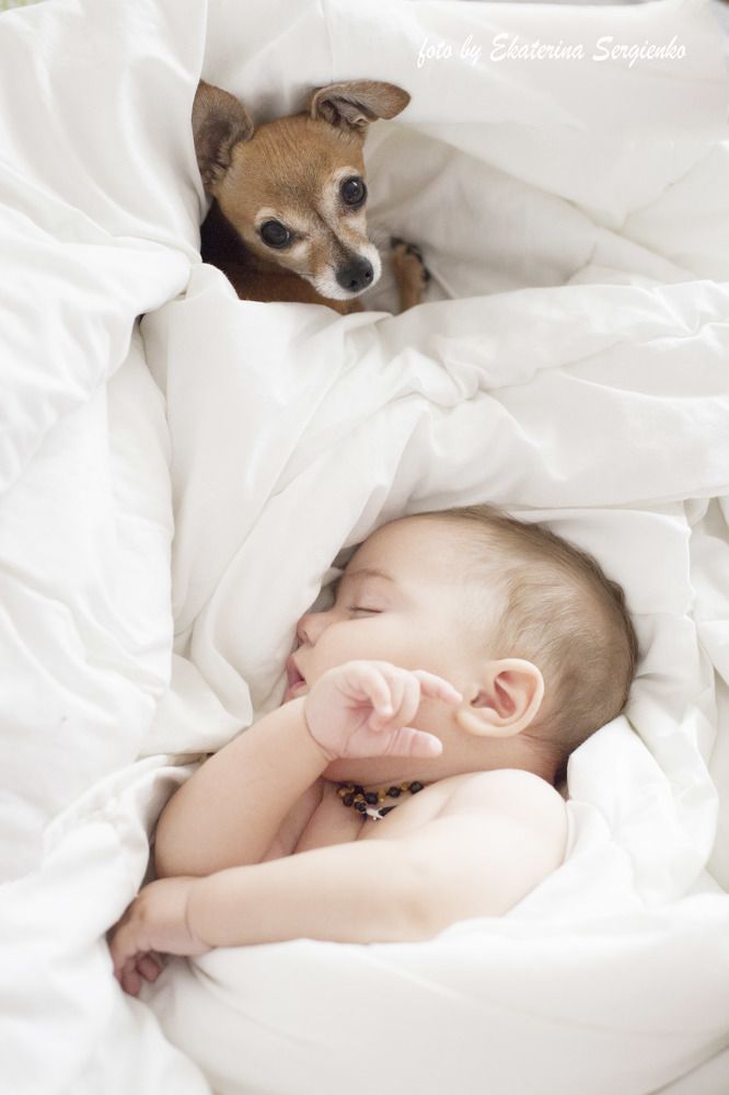 все под контролем.