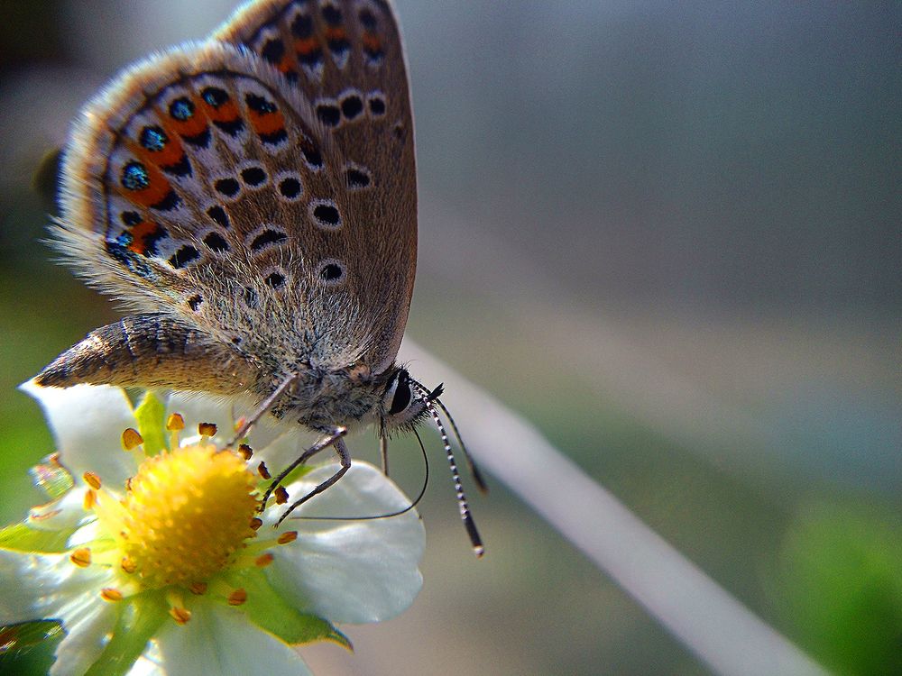 Весенний вальс