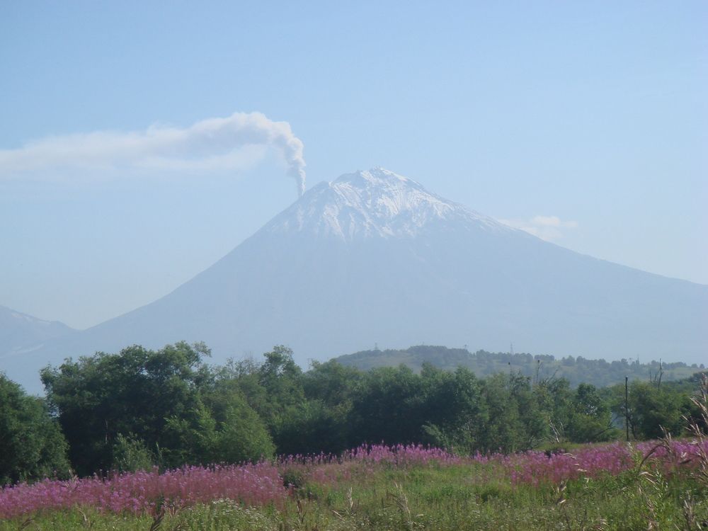 "Камчатский "куряка"