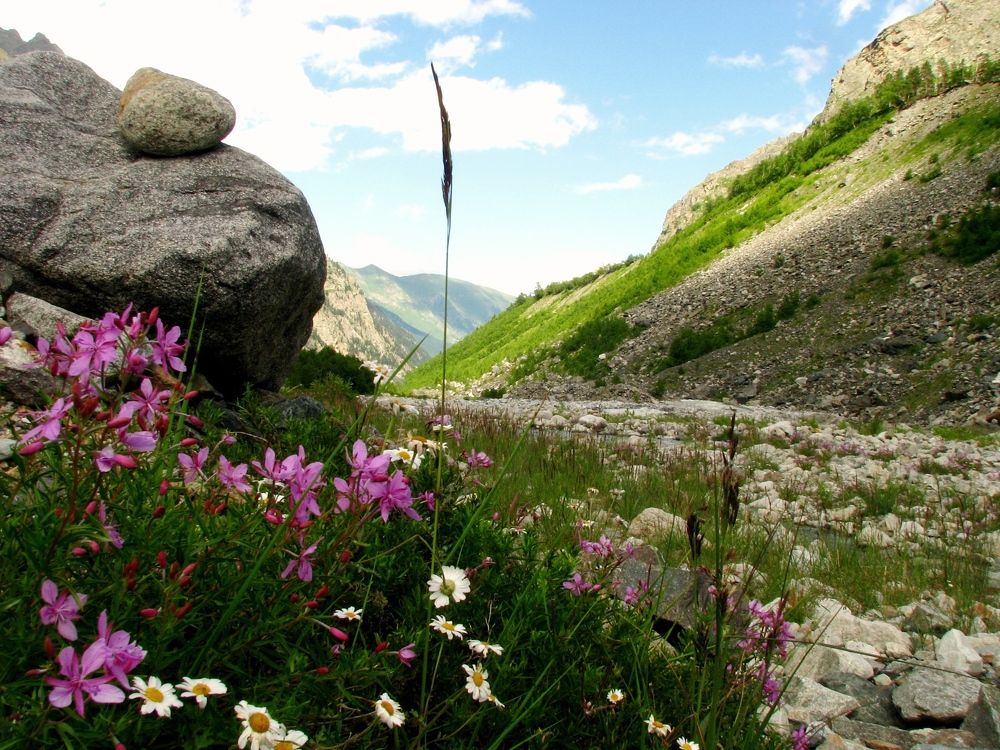 Цейское ущелье