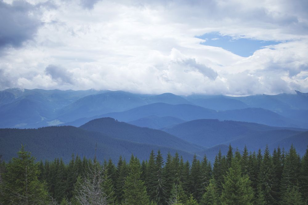 Carpathian Mountains