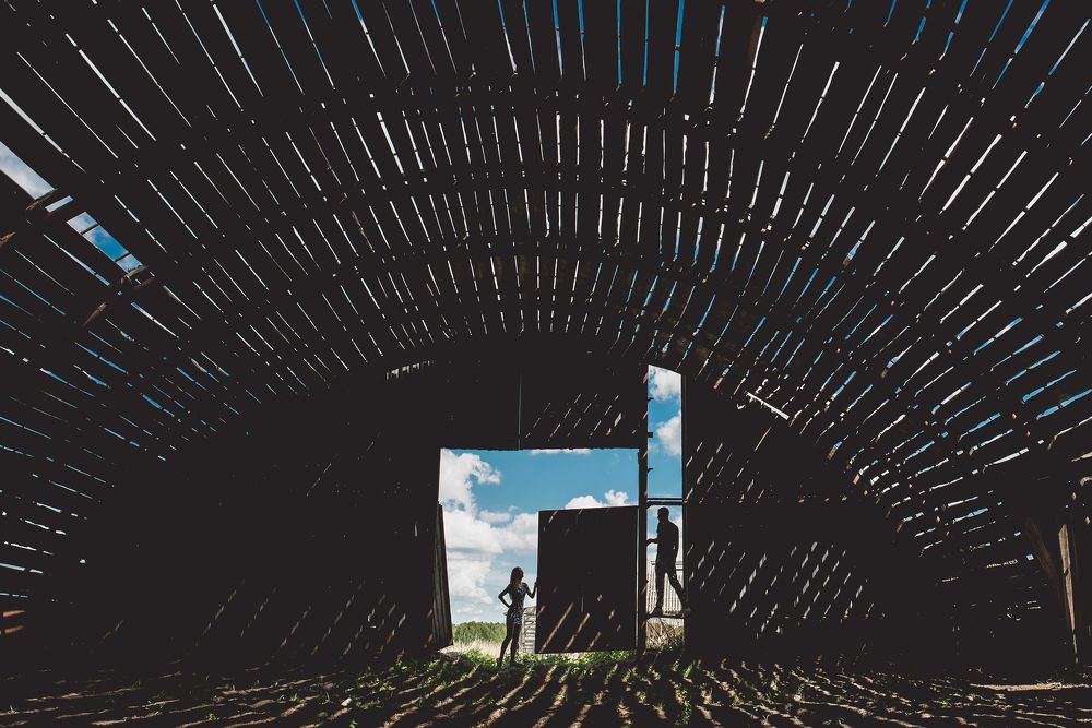 Гармония света