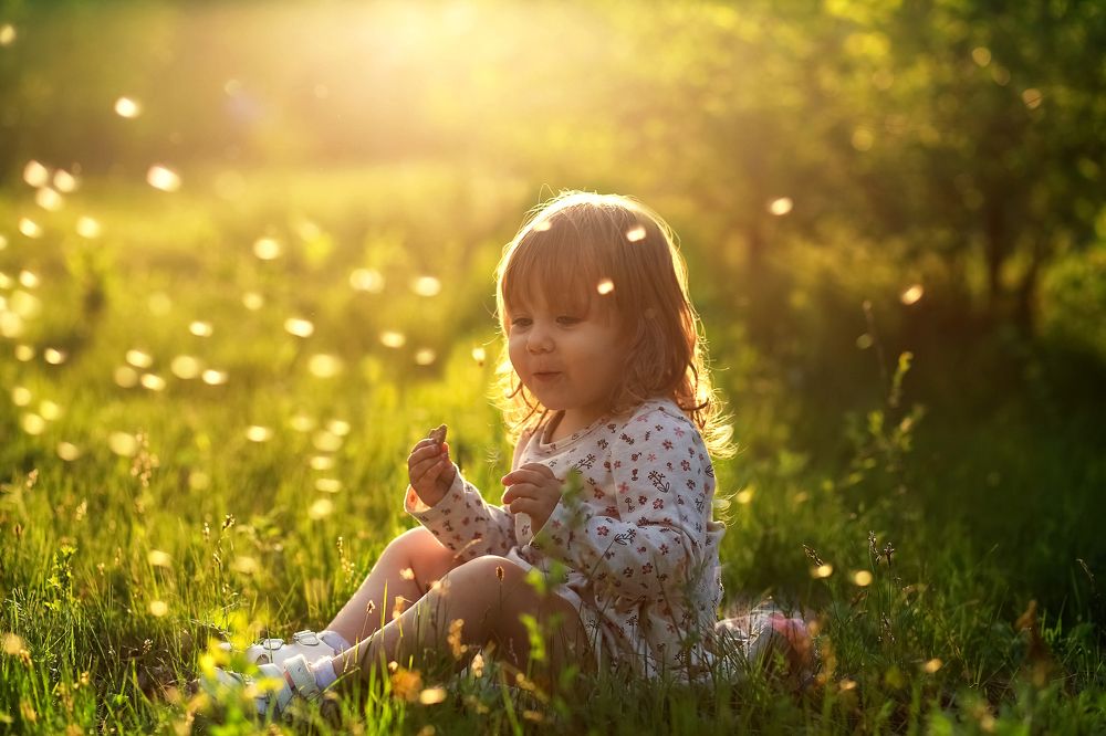 Цветы солнца