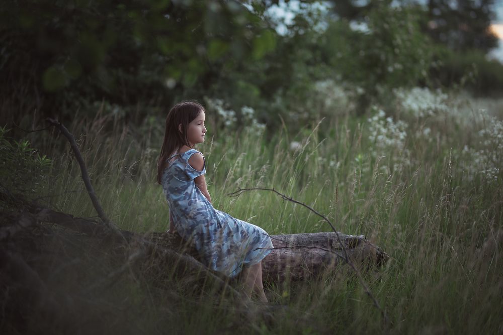 Летний вечер