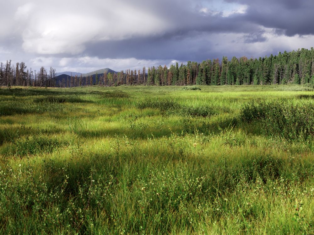 Photograph by Емельянов Саша