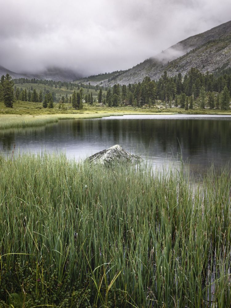 Photograph by Емельянов Саша