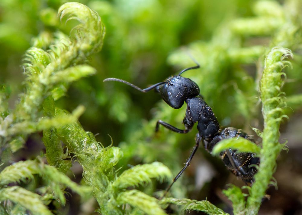 Photograph by Татьяна Золотых