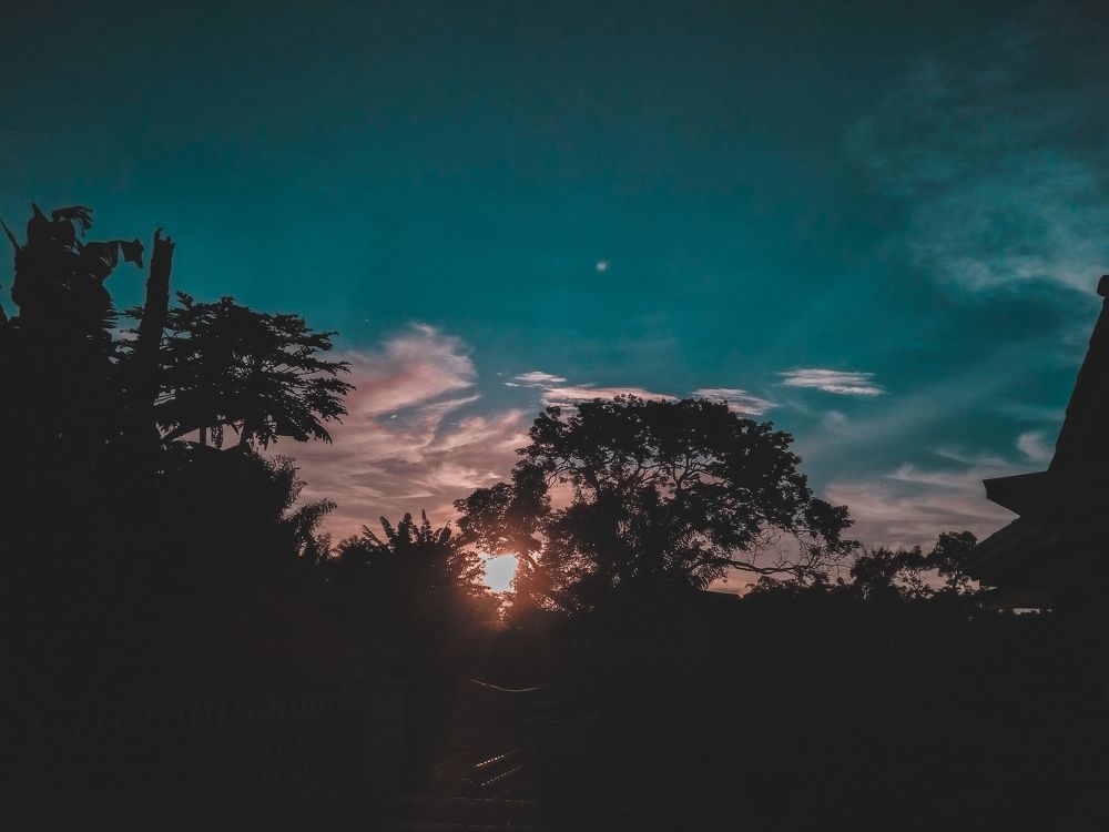 Sunrise near my home