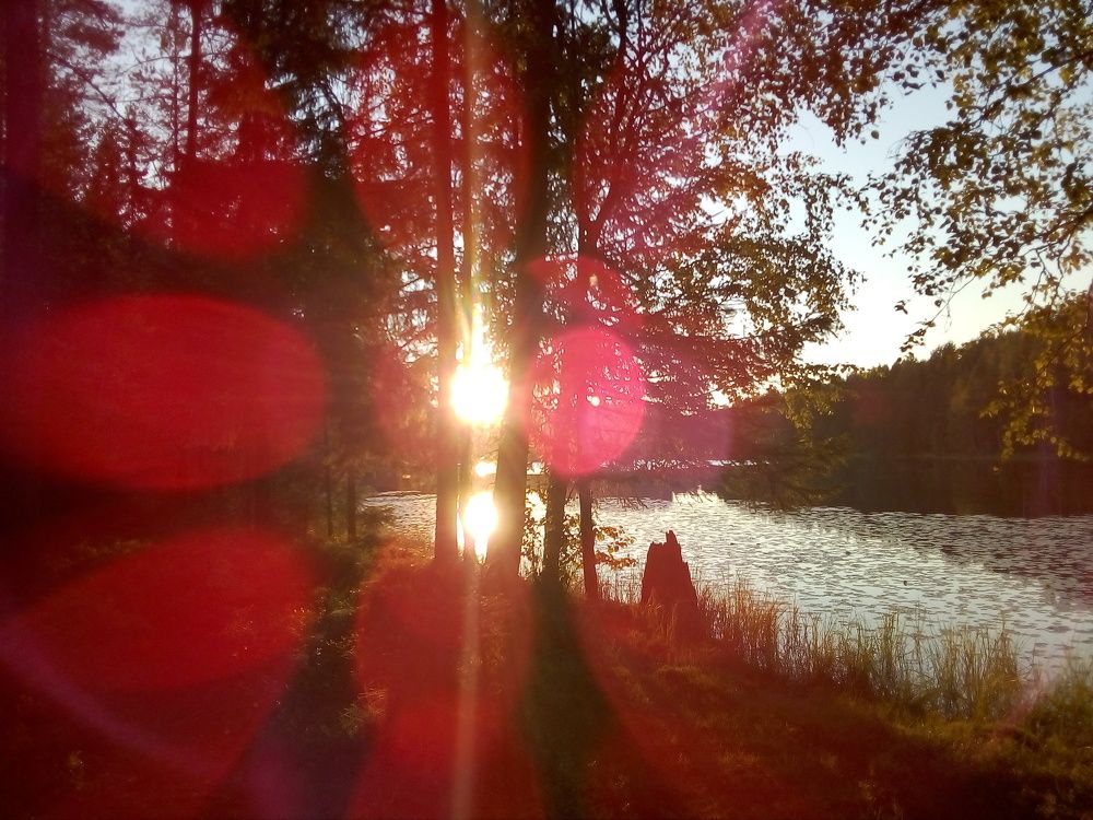 Photo #2443565