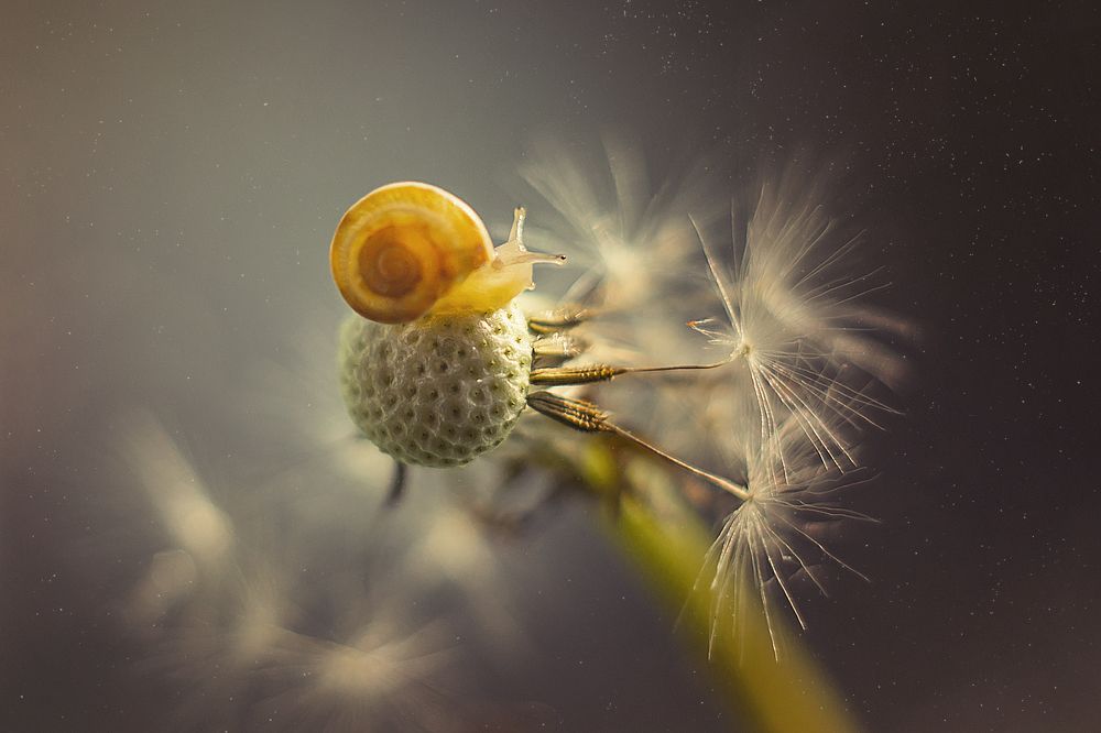 Photograph by Нурият Аллаярова