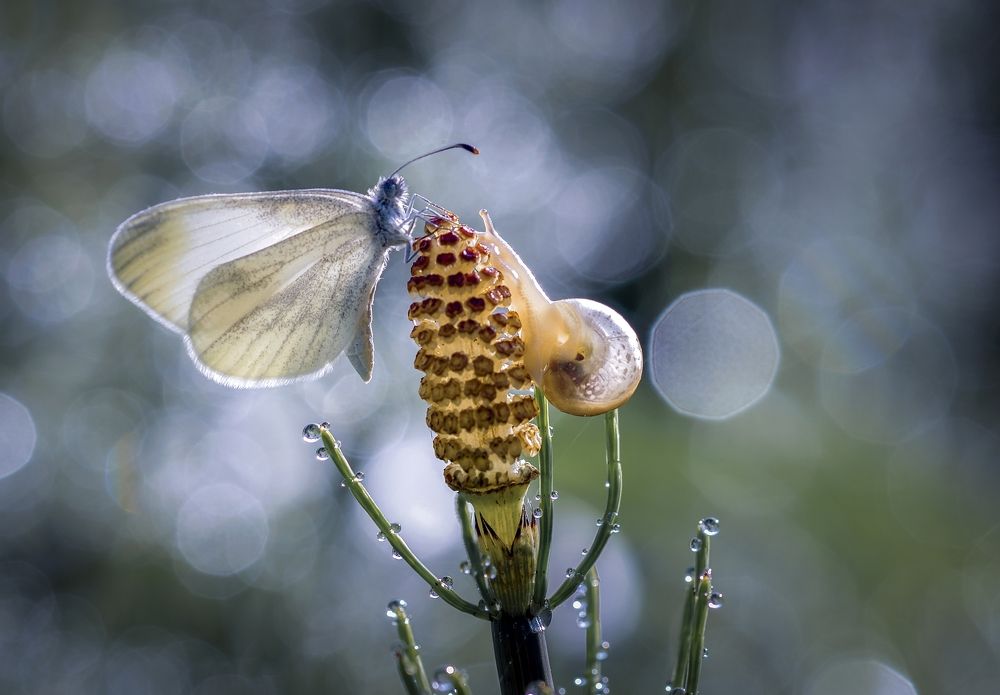 Ты, возьми меня с собой