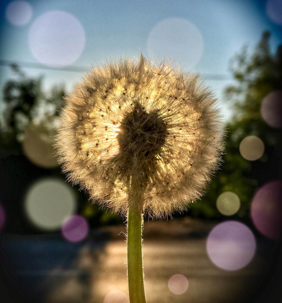 Маленькое солнце