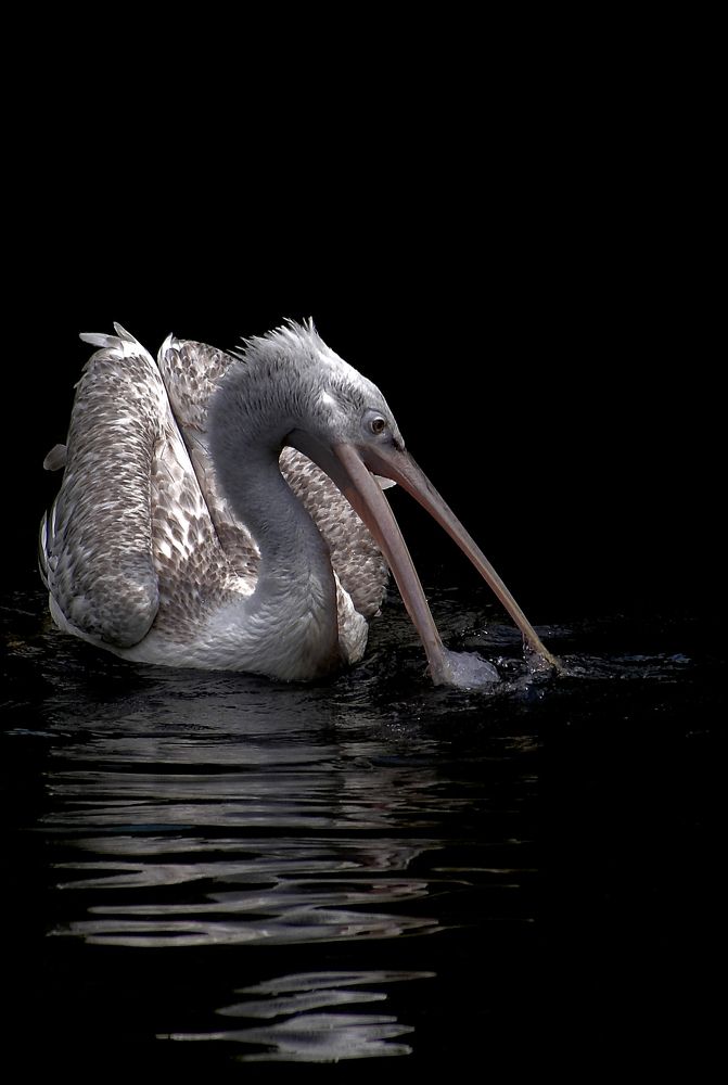 On The Black Mirror....