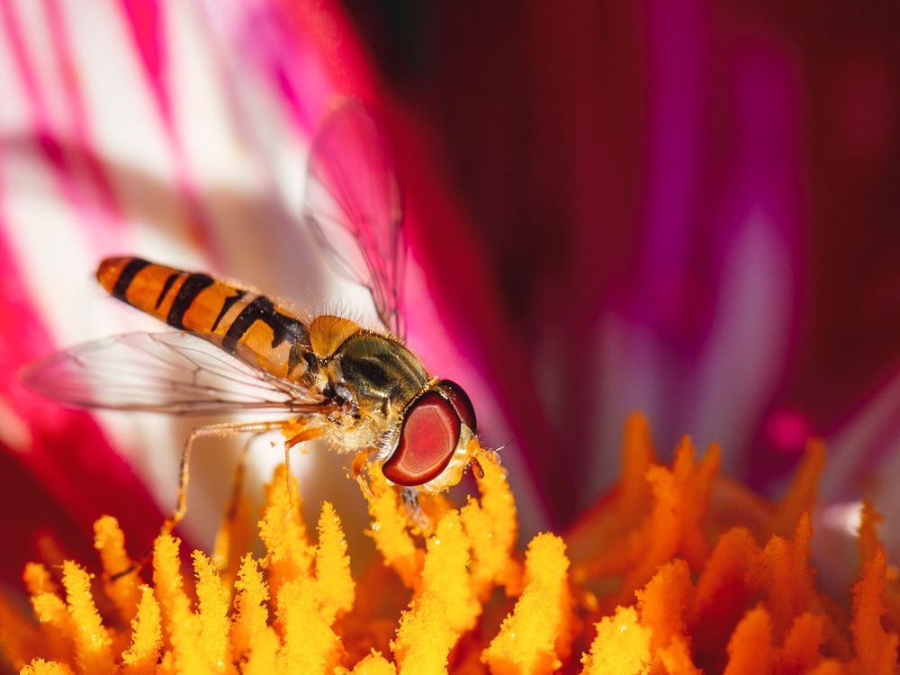 Крошка за обедом.