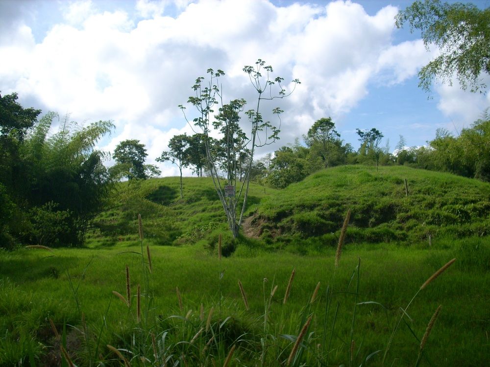 El camino- The way - путь