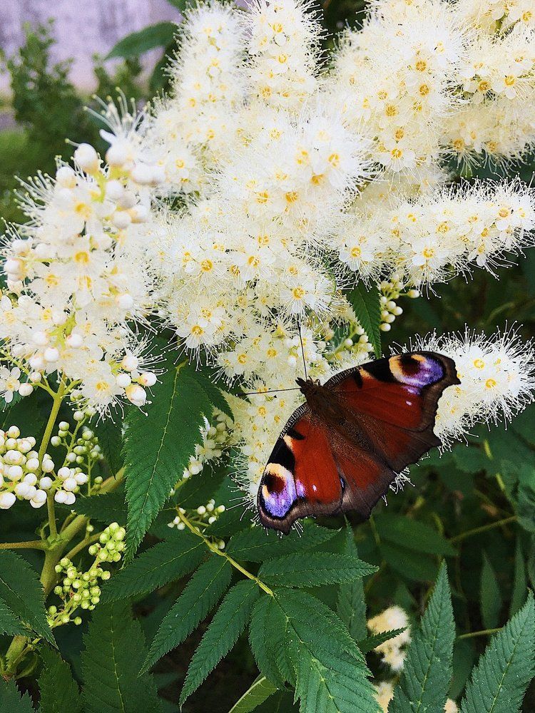 Photograph by Елена Резниченко