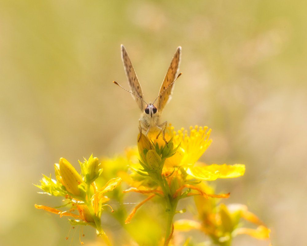 Photograph by Юрий Никитюк