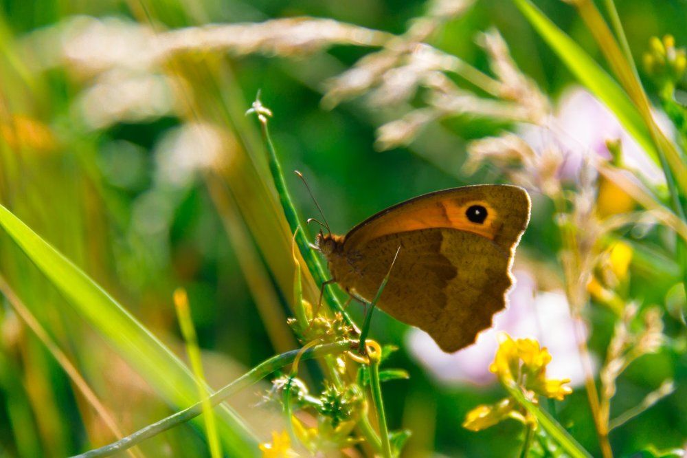 Photograph by Simplici_mortE