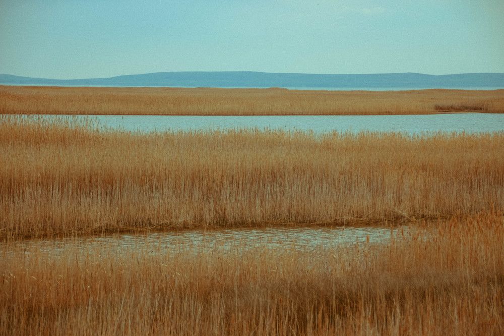 Photograph by Ефимова Анна