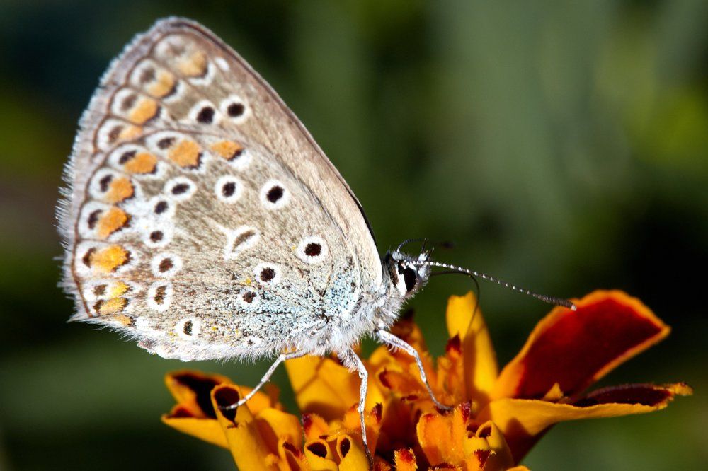 Photograph by Беспалов Александр