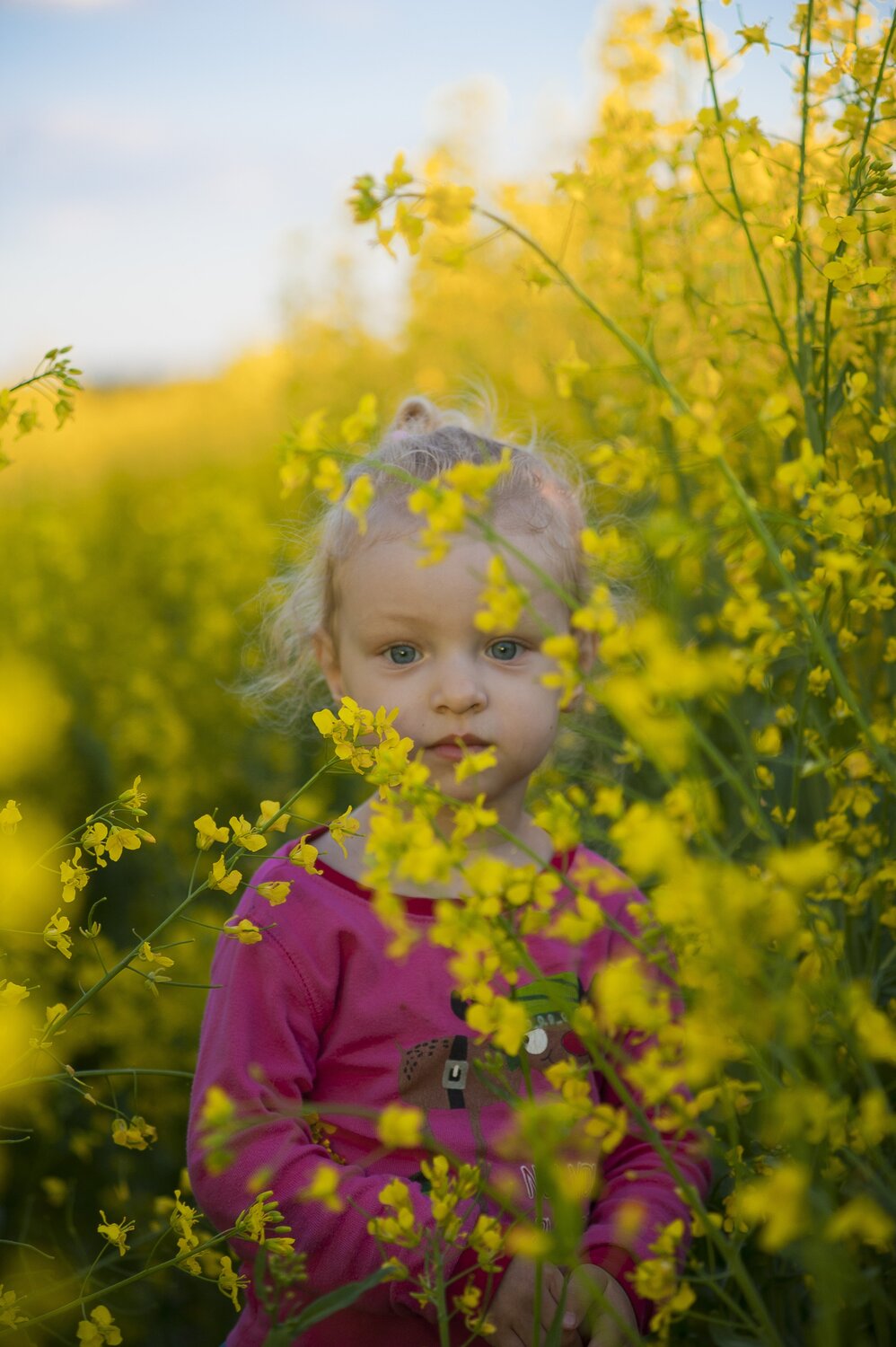Photo #2444969