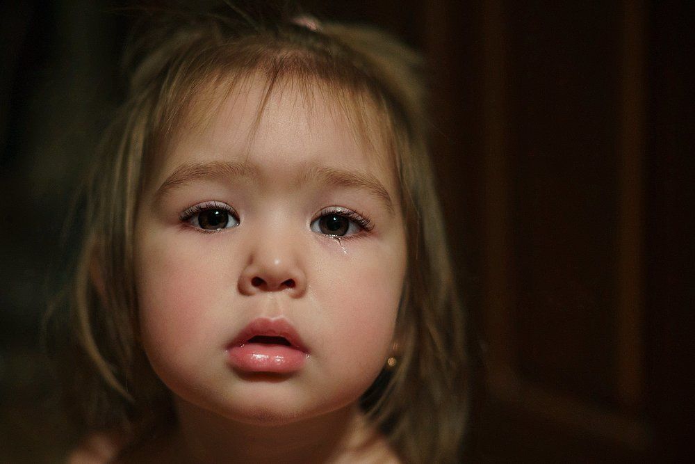 когда ребенок увидел в объективе птичку)