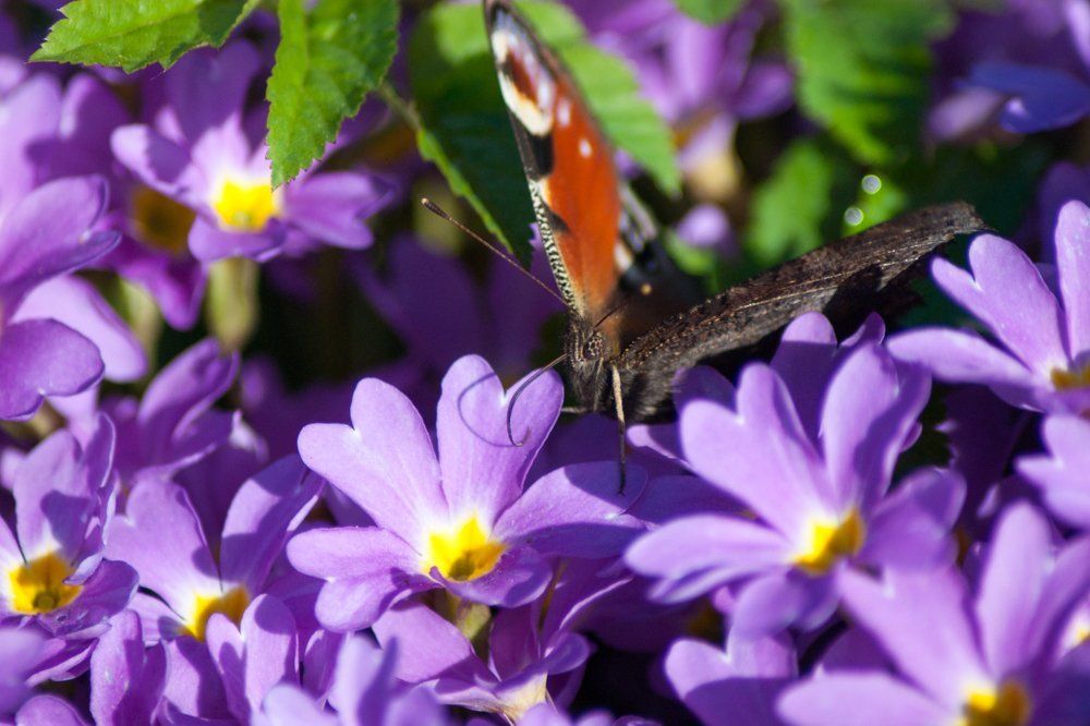 Photograph by Елена Абдураманова