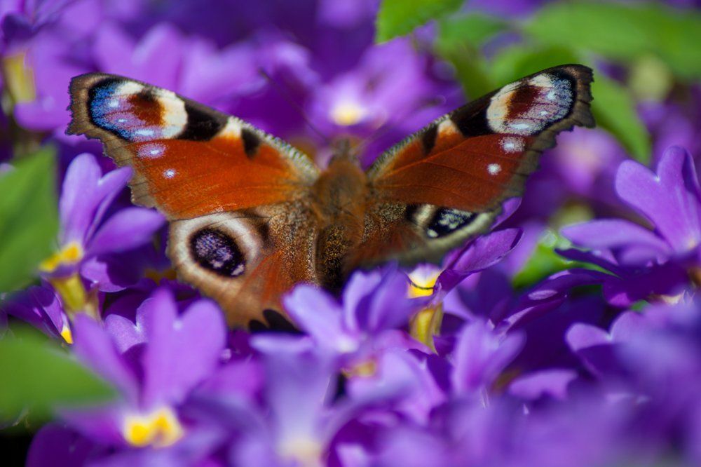 Photograph by Елена Абдураманова