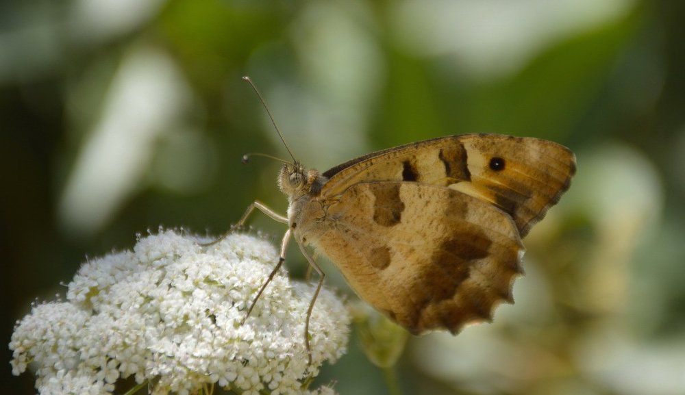 Photograph by Сергей Бережной