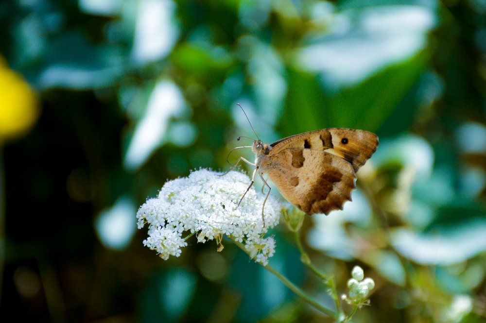 Photograph by Сергей Бережной