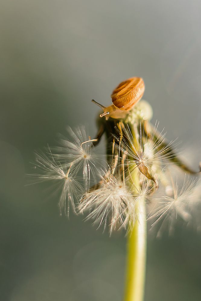 Photograph by Нурият Аллаярова