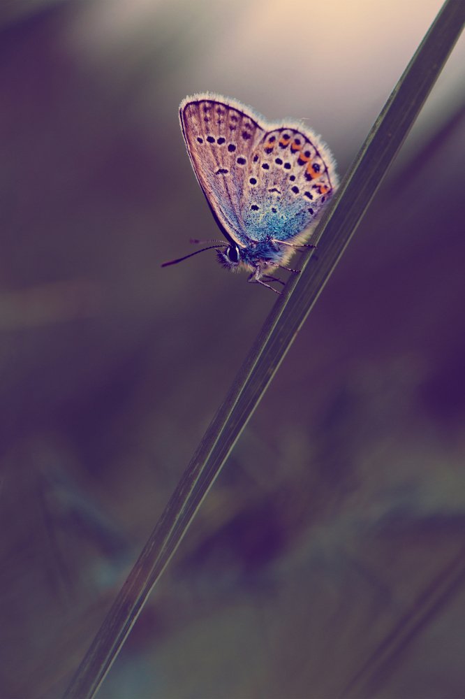 Photograph by Сергей Масленников